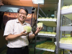 紅柿子「蔬菜工廠」燃起台灣農業生機