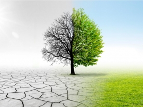 整頓公務員 先從淘汰郭冠英做起