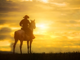 白文正拚鬥一生  沒學會留白