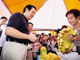 不識蕉農苦馬英九團隊「不食人間煙火」