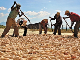今年原物料後市「相對無趣」