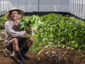 新北市×小農先鋒》鄭鵬舉  大病後投入無毒栽種 黑手變有機農  讓11校學童安心吃菜