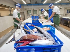 深入 三井六百坪的美食祕密基地