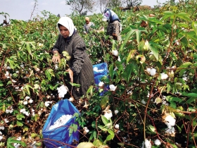 投資趨勢洗牌  原料看俏變贏家