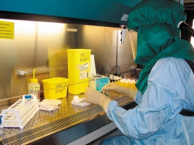 政策作多　10年可鎖定生技產業