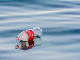 要成功，就要大膽冒險