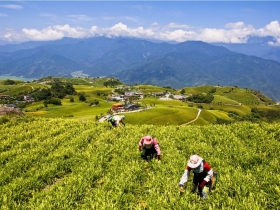 兩千億農村再生條例  富不了農民