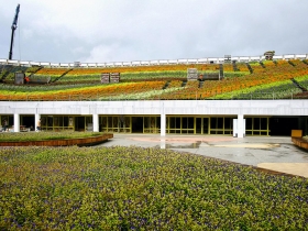 行庫「拍馬屁」捧場大買花博門票