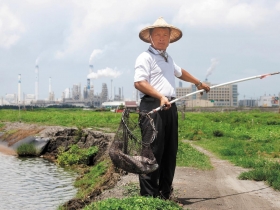酸雨威脅 文蛤之鄉剩十年壽命？