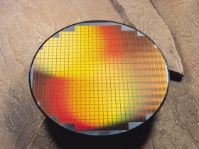 孫大衛續賺二十二年的「共生哲學」