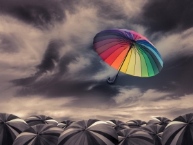 尋找眼神發出愛和熱的創意心靈