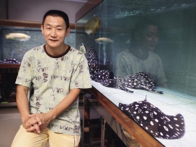 一條魚要價500萬元的市場絕活