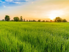 看見台灣新亮點