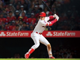 看不見極限  大谷翔平