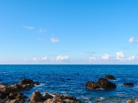 Google搜尋累計400多萬筆資料 擦亮MIT招牌的食品小巨人