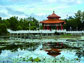 再造計畫讓市民繼續因它而樂活　台南公園 歡慶百歲生日