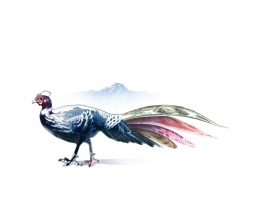 誰該下台？該不該下車？