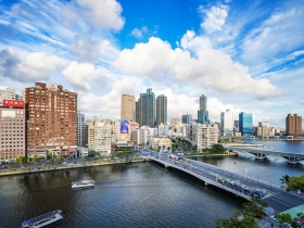 「人才剛來，豬隊友先拚發大財」  拜託放了高雄吧！