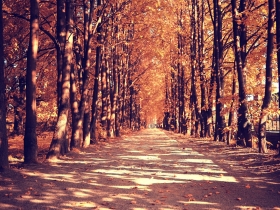 林清玄《清歡》：「秋天的心情，就像是微步中年的心境吧！」