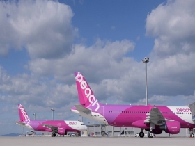 樂桃條款！班機轉降後無法下機 未告旅客可罰款