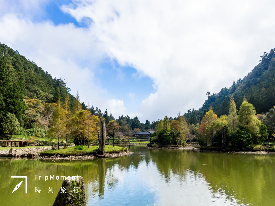 今周刊 宜蘭 馬告生態園區 滿滿的芬多精 走一趟如夢似幻的絕美秘境 今周刊