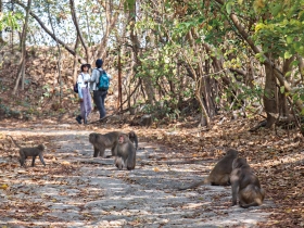 登三山　探奇觀