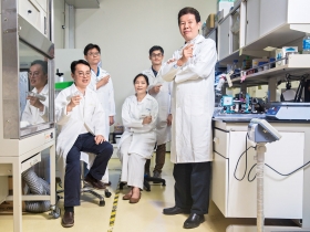 泡沫式人工腦膜獨步全球 豔驚美加速器