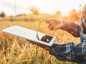 臺灣農業實力發威　外銷與交流均有斬獲
