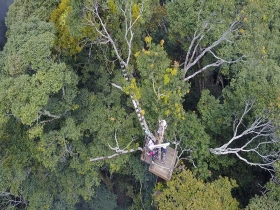 雪霸「聖稜樹冠」生態影片　花費2年拍攝、獲4項國際大獎