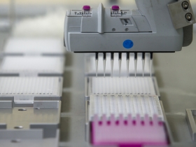 小心翼翼向前行