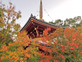 祈福行旅 —四國 車遍路