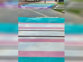 荷蘭「3色斑馬線」該走哪一條？ 網友反應兩極：包容還是變相歧視