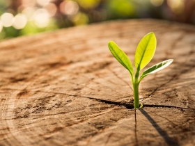 人生是無法左右只能創新改變