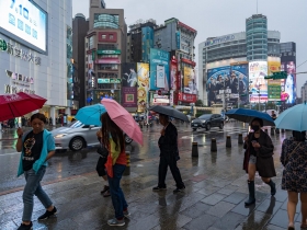 靠右走太危險！研究發現：死亡率比逆向走高1.2倍