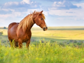 「草種好了，馬就來了」改變世界從扎穩基本功開始