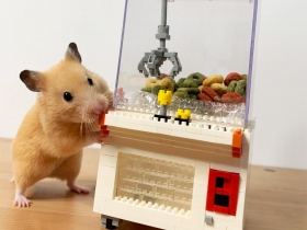 信義房屋送老客戶年菜　鼠網紅「麥芽糖｣直播抽獎