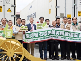 台灣芭樂銷美「處女秀」  年出口值挑戰翻倍