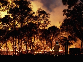 澳洲大火延燒120天、燒掉3個台灣，總理卻在度假？一文看透澳洲經濟與政治大洞