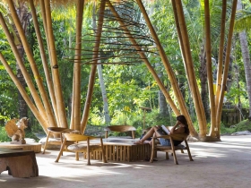 可以溫潤、可以流動、可以堅韌 竹子的百變風情