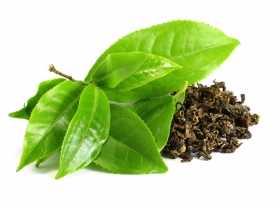 直擊鹿谷 台灣百億茶金解密