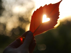 改變命運的秘密是藏在心中