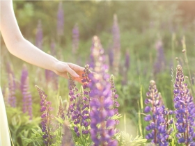感情本來就沒有好壞，中年後，接納你的情緒，多愛自己一點！即使在困境中，也能找回最真實的自我