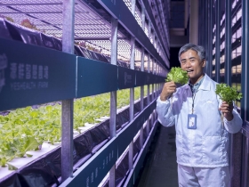 科技老董種菜絕活  攻入丹麥、英國