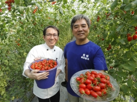 市面買不到的玉女番茄