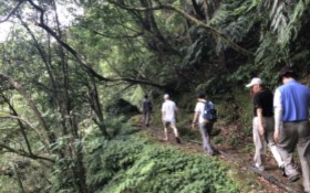 漫步淡蘭古道 賀陳旦讚：具文化、生態及地景多元是健康休閒的新選擇