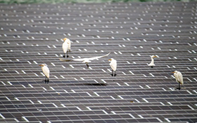 投資千億綠能電站建構幸福安全生活 辰亞能源首創海上型太陽能電站