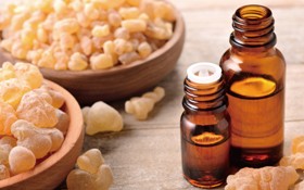 讓上帝的眼淚化為喜悅-「互相效力合作計畫」挽救地球最後一片原始乳香林