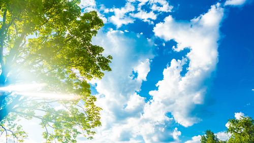 未來一周好天氣 輕颱鯉魚將生成侵台機會低