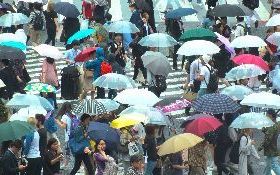 颱風來襲航班被取消只能哭哭？  旅遊達人教你不便險這樣買