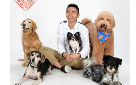 6大提案  營造人狗減壓環境—熊爸的「搶救生活秩序大作戰」！